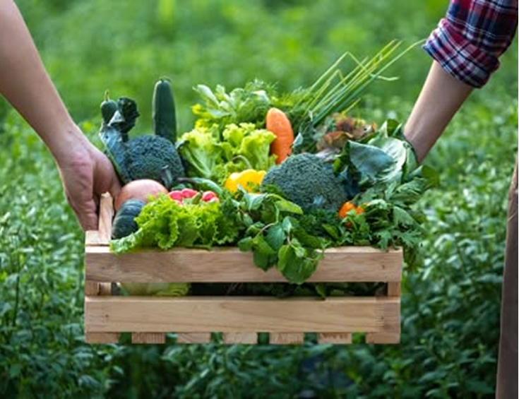 Farmers Market